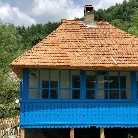 Casa Albastra Baile Olanesti Exterior foto