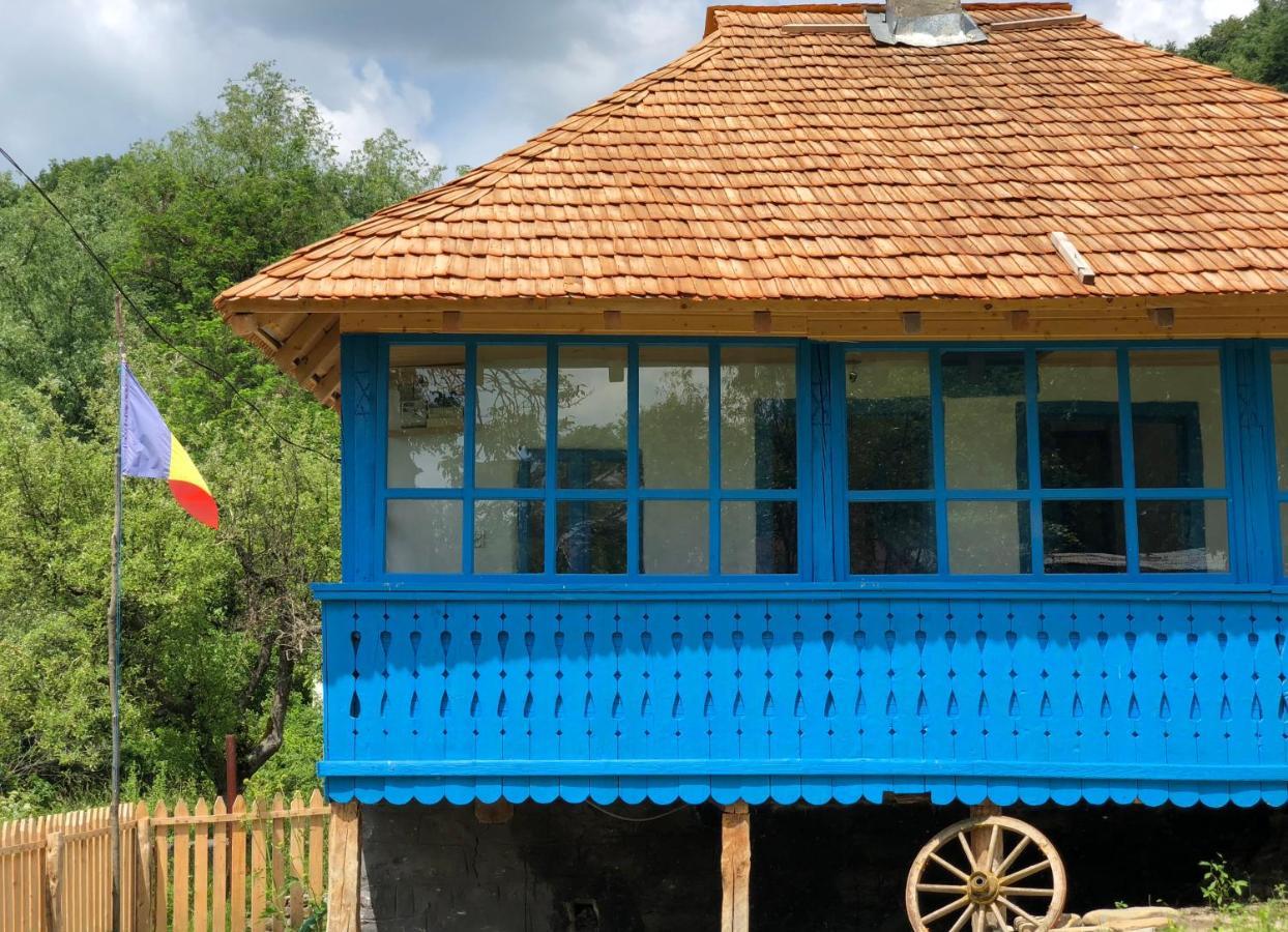 Casa Albastra Baile Olanesti Exterior foto